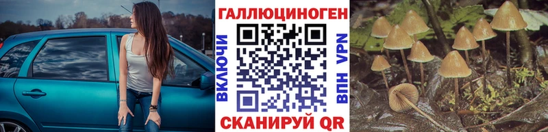 Псилоцибиновые грибы MAGIC MUSHROOMS Ковров