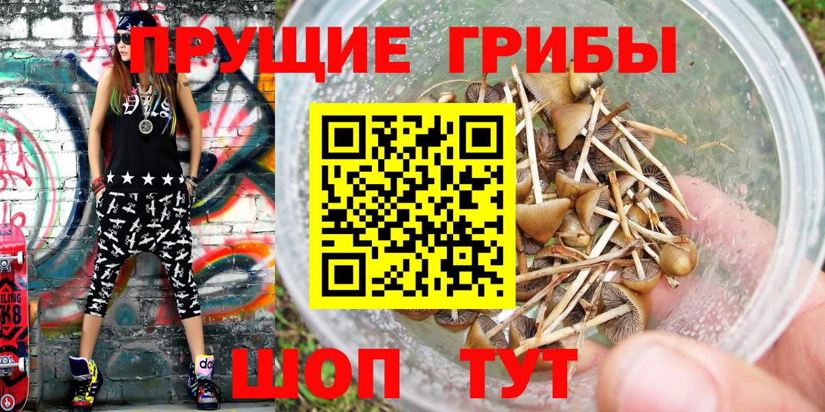 Галлюциногенные грибы мицелий  Галлюциногенные грибы ЛСД  Вход с VPN  Ковров 