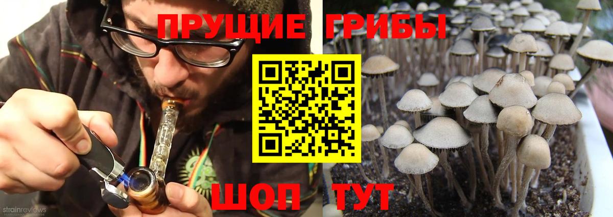 Галлюциногенные грибы прущие грибы Ковров
