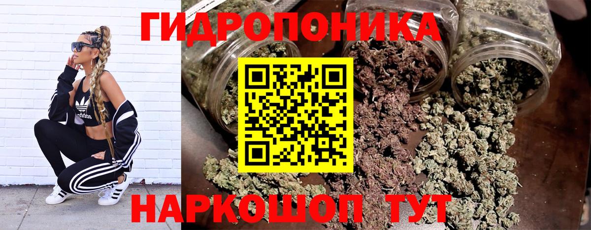 Бошки Шишки MAZAR  Вход с VPN  Конопля план  Ковров 